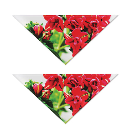 Bouvardia Plant Print Dog Bandana
