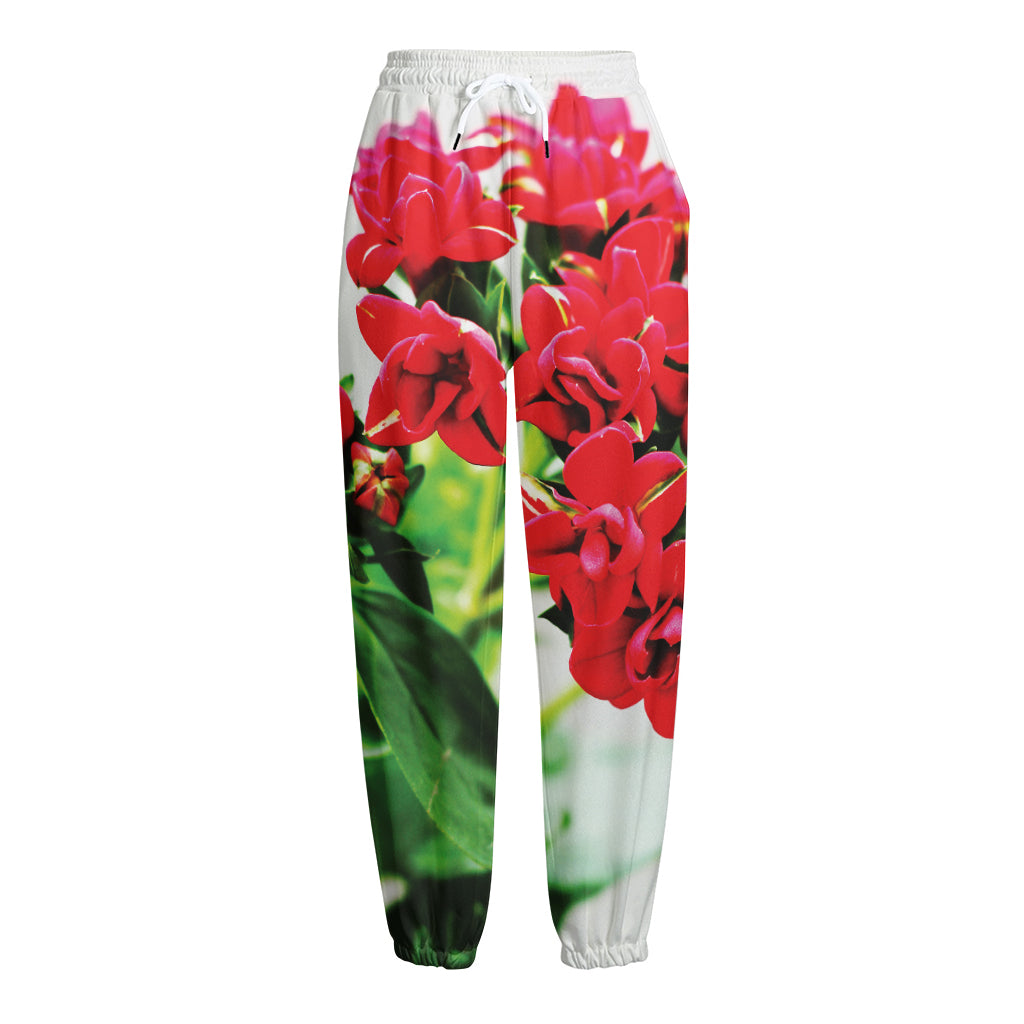 Bouvardia Plant Print Fleece Lined Knit Pants