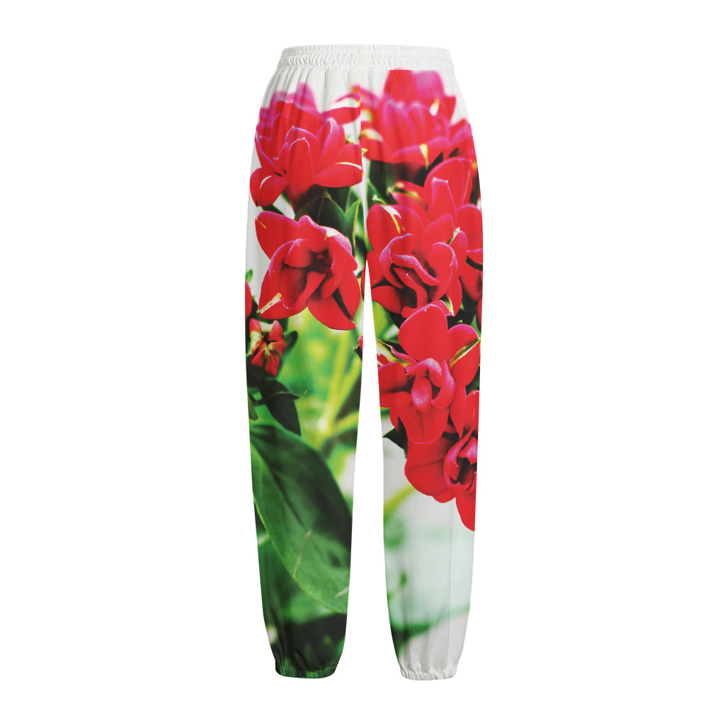 Bouvardia Plant Print Fleece Lined Knit Pants