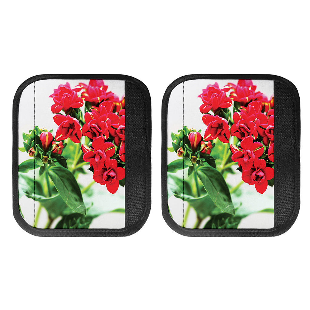 Bouvardia Plant Print Handle Covers