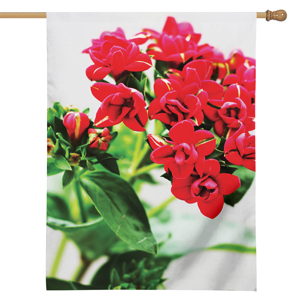 Bouvardia Plant Print House Flag