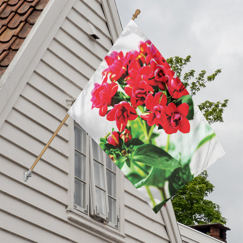 Bouvardia Plant Print House Flag