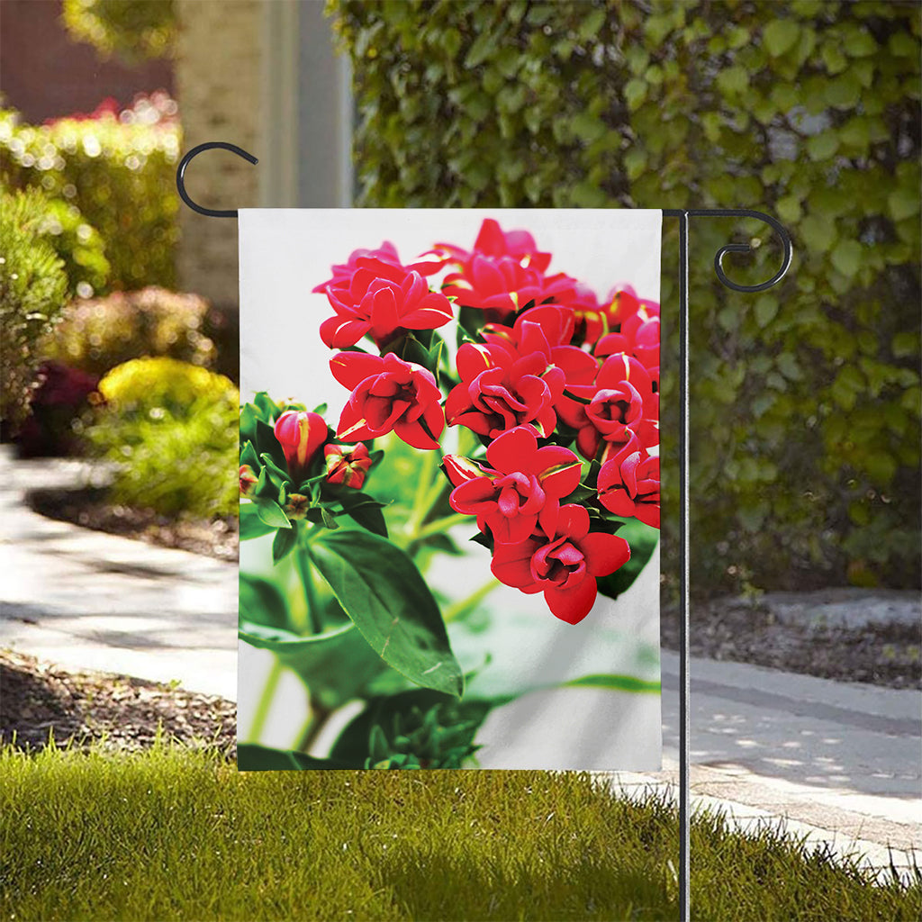 Bouvardia Plant Print House Flag