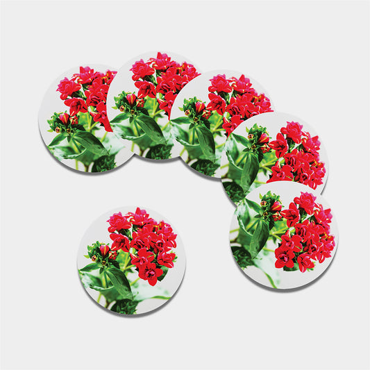 Bouvardia Plant Print Leather Coaster Set