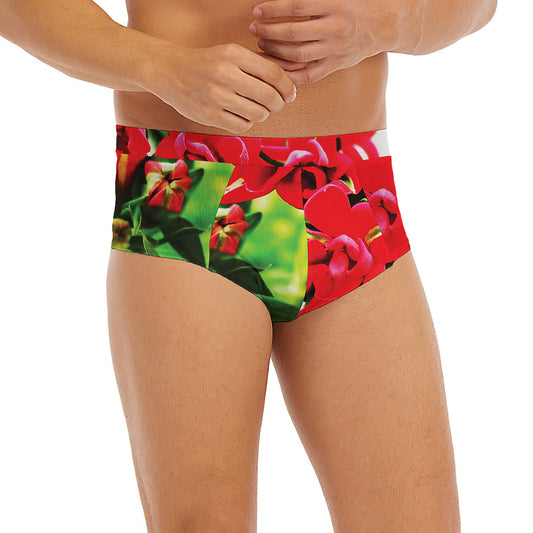 Bouvardia Plant Print Men's Briefs