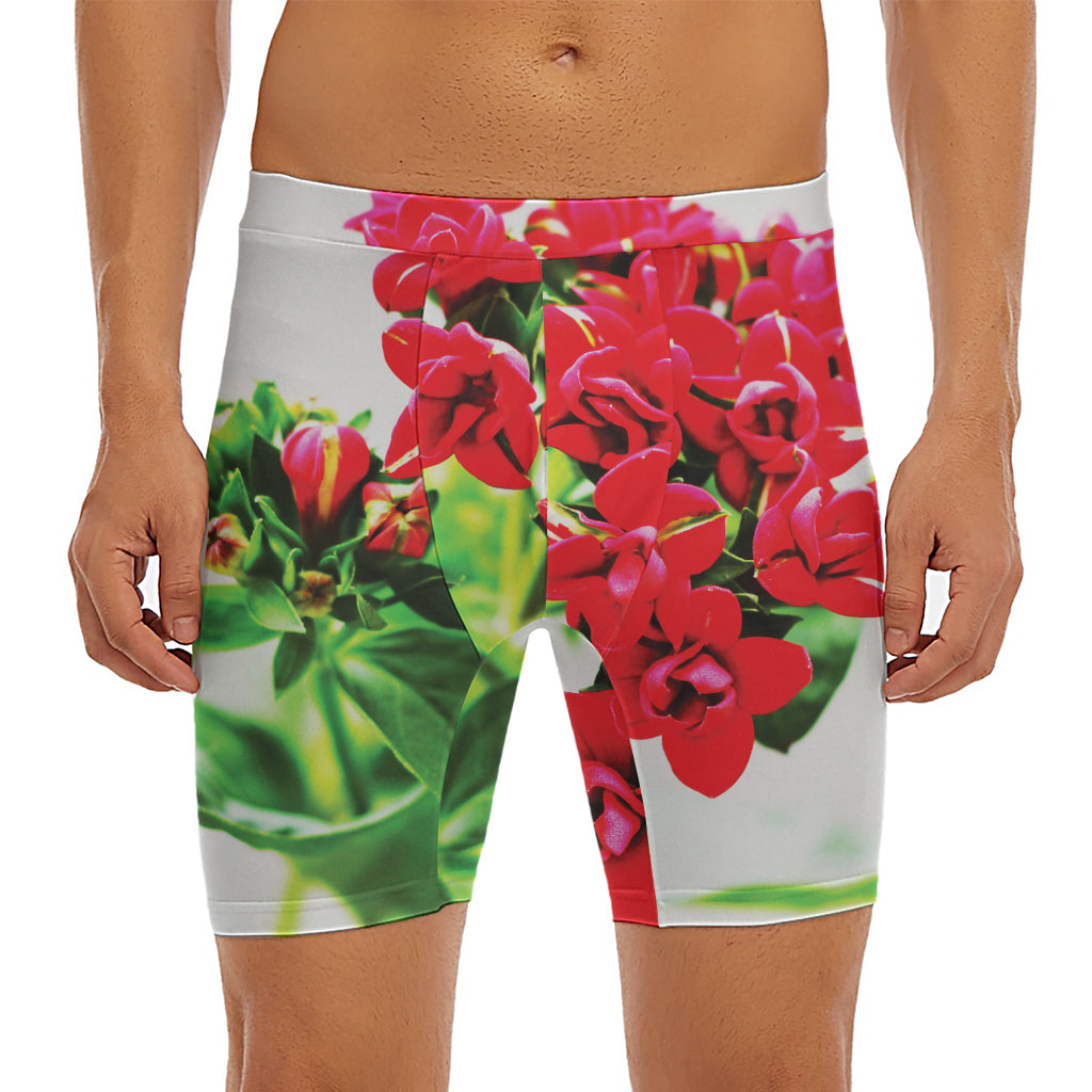 Bouvardia Plant Print Men's Long Boxer Briefs