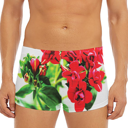 Bouvardia Plant Print Men's Short Boxer Briefs