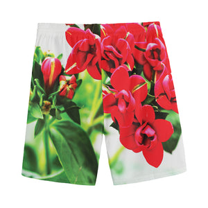 Bouvardia Plant Print Men's Sports Shorts