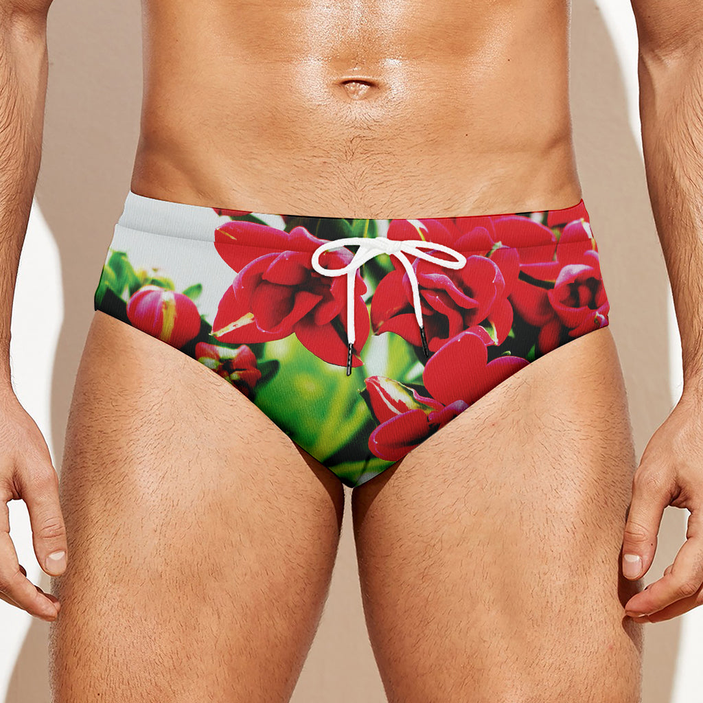 Bouvardia Plant Print Men's Swim Briefs