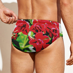 Bouvardia Plant Print Men's Swim Briefs