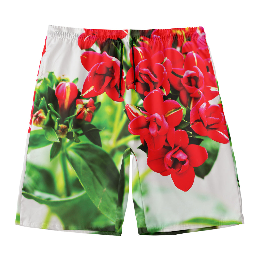 Bouvardia Plant Print Men's Swim Trunks