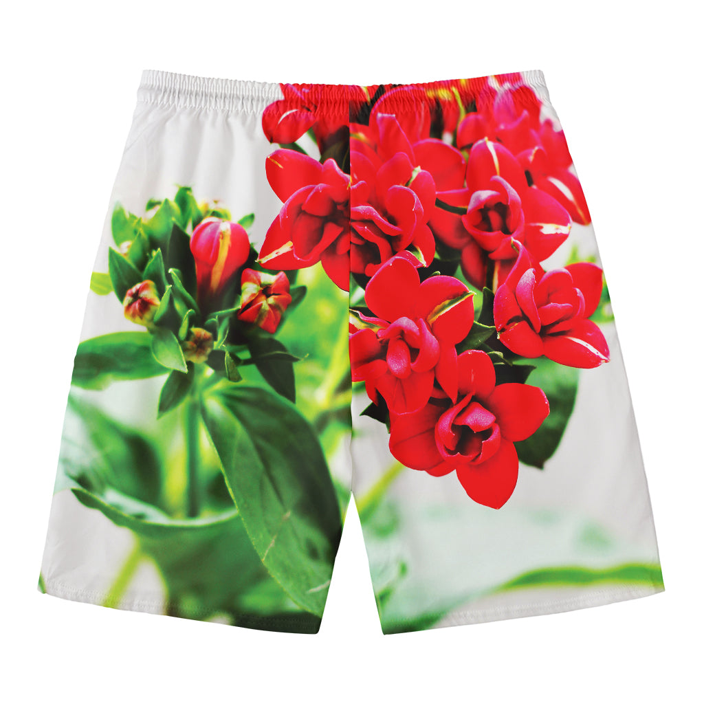 Bouvardia Plant Print Men's Swim Trunks