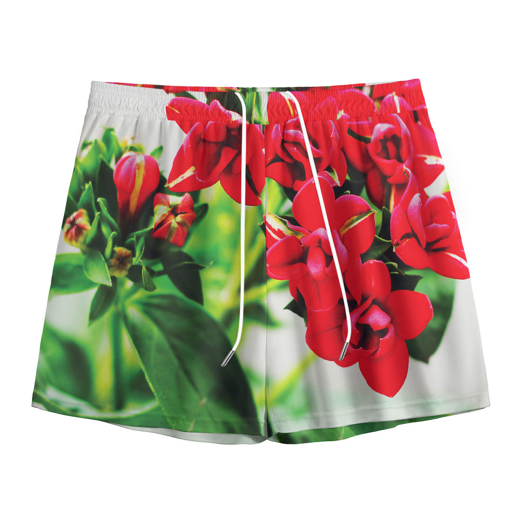 Bouvardia Plant Print Mesh Shorts