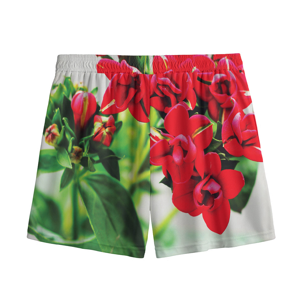 Bouvardia Plant Print Mesh Shorts