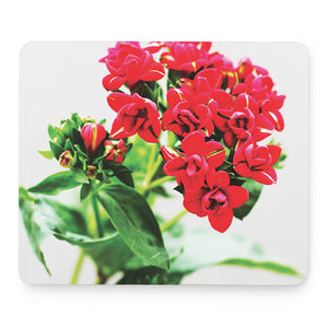 Bouvardia Plant Print Mouse Pad