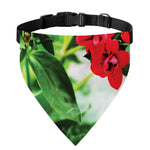 Bouvardia Plant Print Over The Collar Dog Bandana