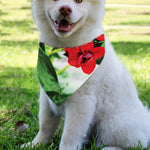 Bouvardia Plant Print Over The Collar Dog Bandana