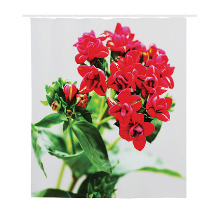 Bouvardia Plant Print Polyester Shower Curtain