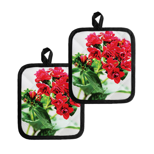 Bouvardia Plant Print Pot Holders