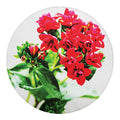 Bouvardia Plant Print Round Blanket