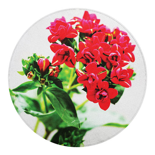Bouvardia Plant Print Round Blanket