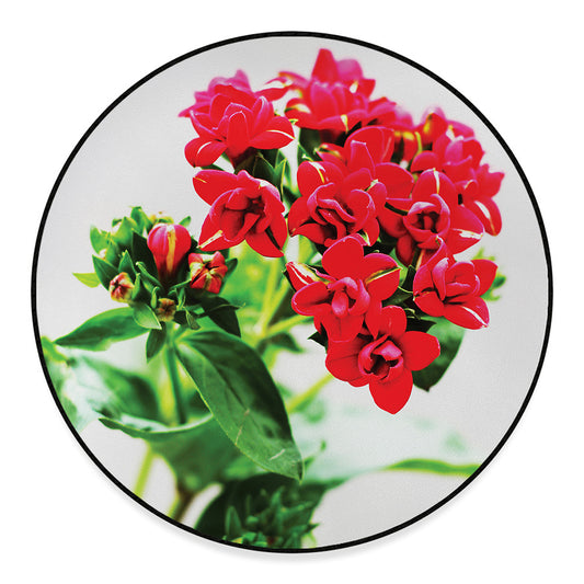 Bouvardia Plant Print Round Floor Mat