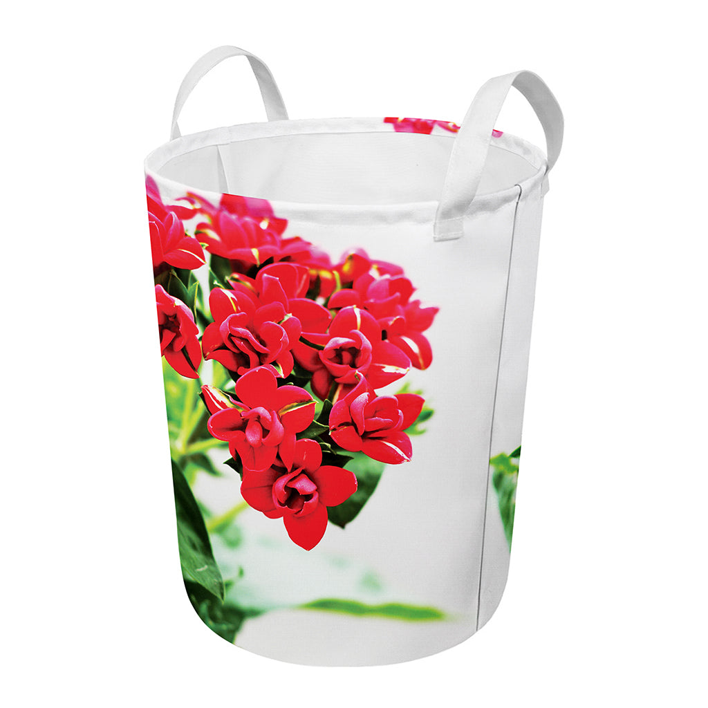 Bouvardia Plant Print Round Laundry Basket
