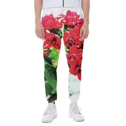 Bouvardia Plant Print Scuba Joggers