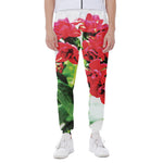 Bouvardia Plant Print Scuba Joggers
