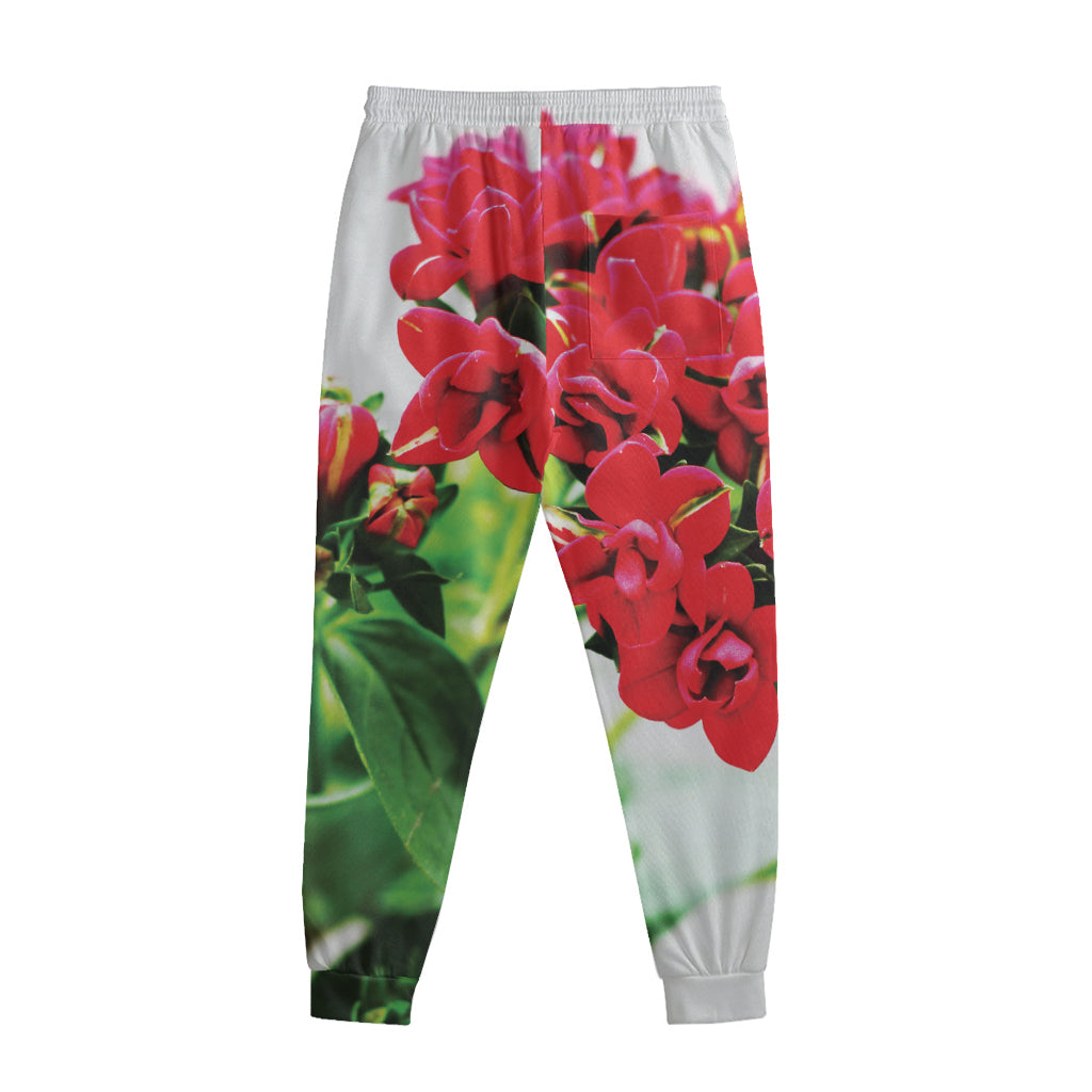Bouvardia Plant Print Sweatpants