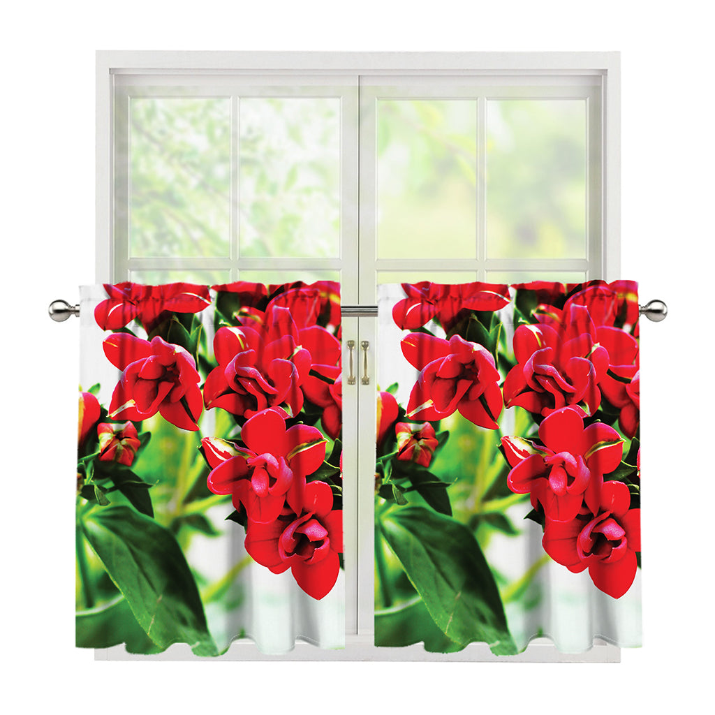 Bouvardia Plant Print Tier Curtains