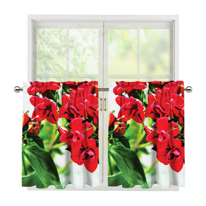 Bouvardia Plant Print Tier Curtains