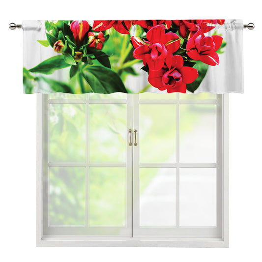Bouvardia Plant Print Window Valance