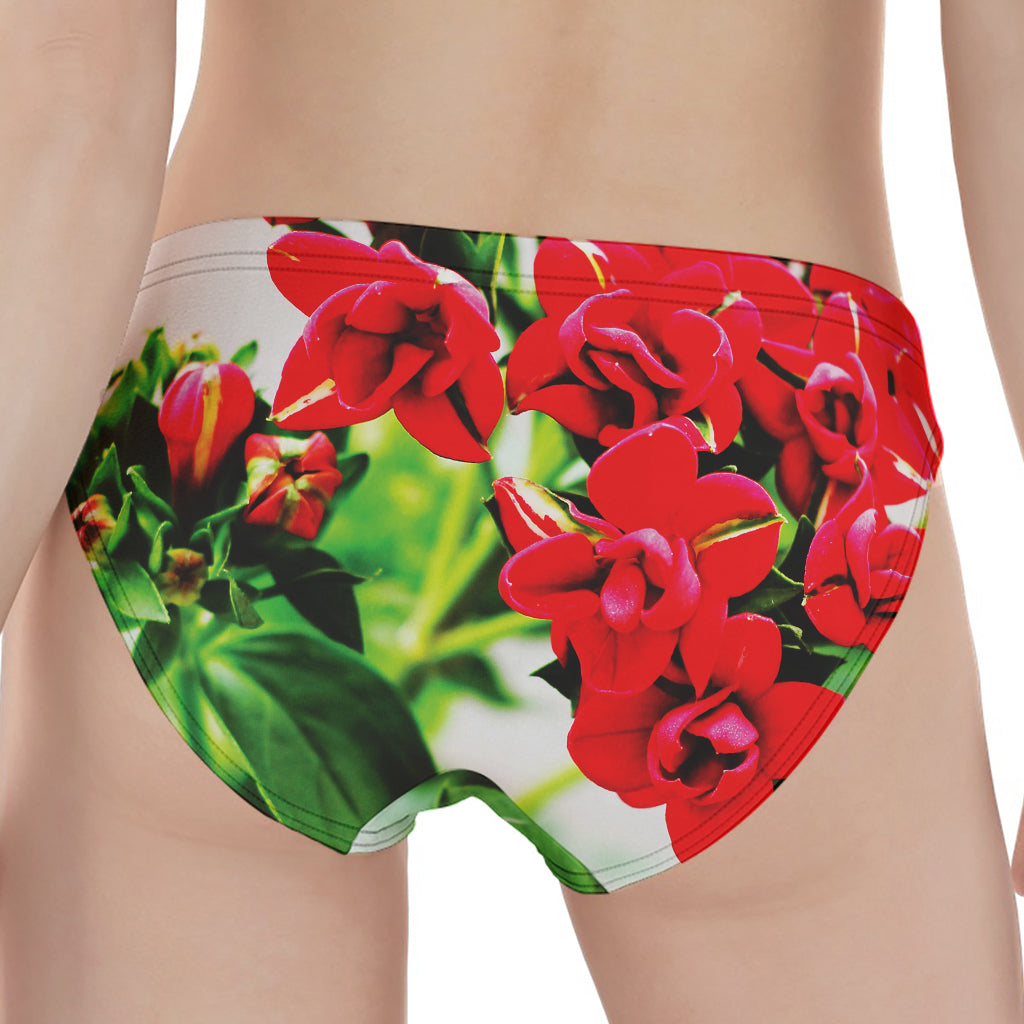 Bouvardia Plant Print Women's Panties