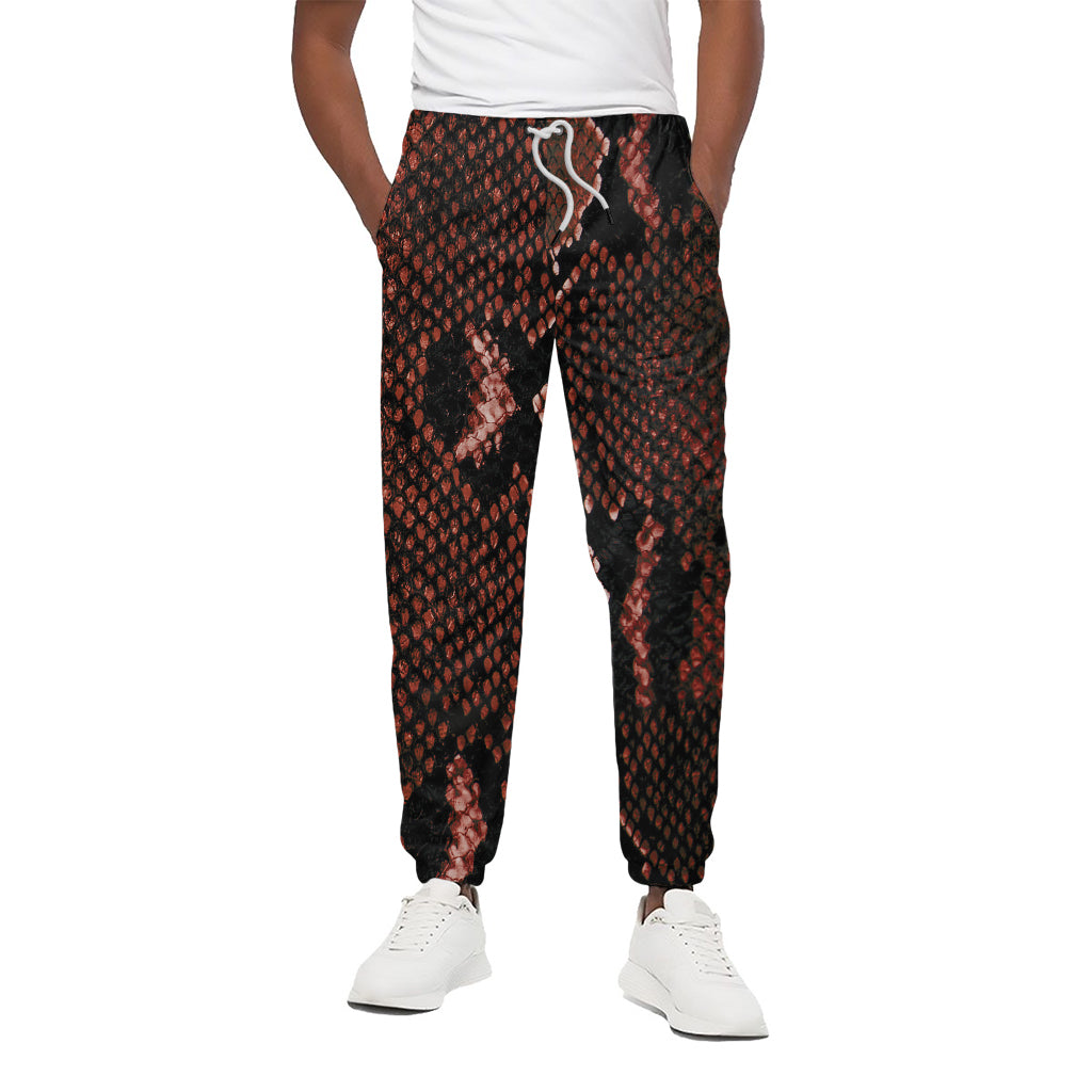 Brick Red Python Snakeskin Print Cotton Pants
