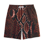 Brick Red Python Snakeskin Print Cotton Shorts