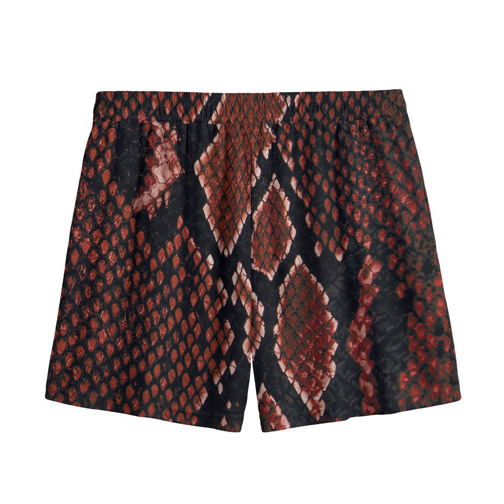 Brick Red Python Snakeskin Print Mesh Shorts