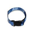 Bright Blue Rose Print Dog Collar