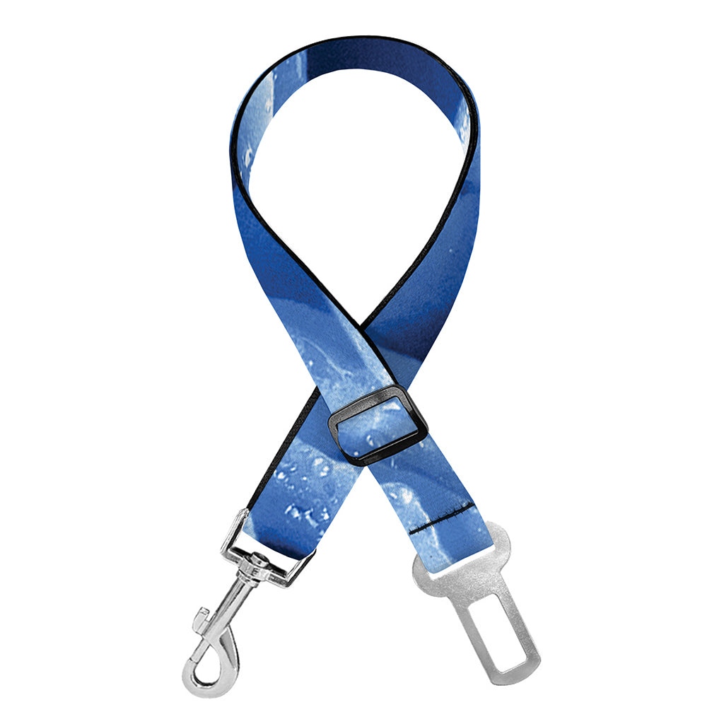 Bright Blue Rose Print Dog Seat Belt