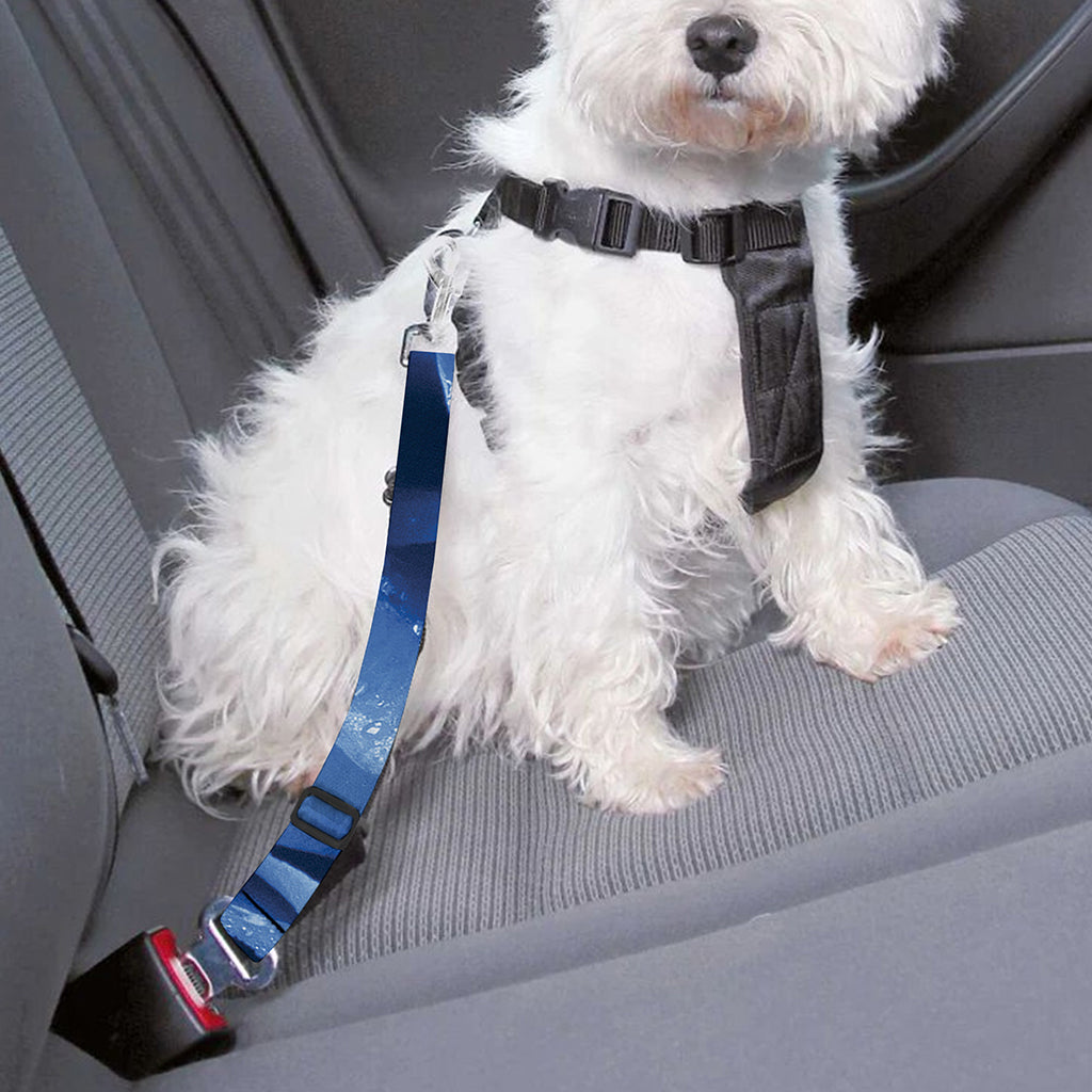 Bright Blue Rose Print Dog Seat Belt