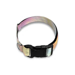 Bright Holographic Print Dog Collar
