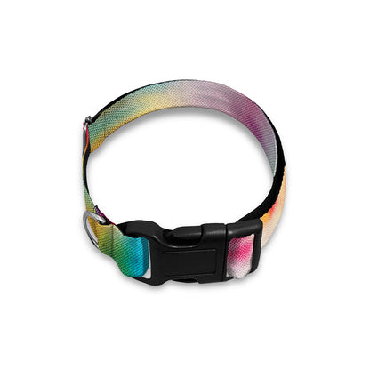 Bright Swirl Tie Dye Print Dog Collar