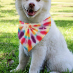 Bright Swirl Tie Dye Print Over The Collar Dog Bandana