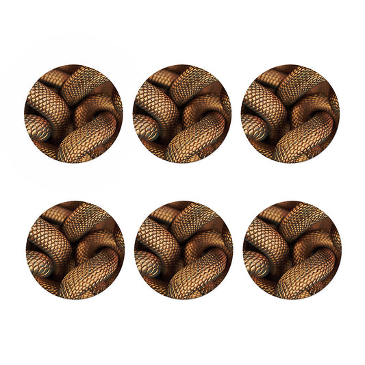 Bronze Snake Print Coaster Set