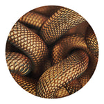 Bronze Snake Print Round Blanket