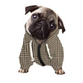 Brown And Beige Glen Plaid Print Dog Zip Up Hoodie