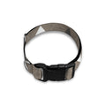 Brown And White Argyle Pattern Print Dog Collar