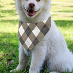Brown And White Argyle Pattern Print Over The Collar Dog Bandana