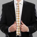 Brown And White Gingham Pattern Print Necktie