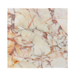 Brown Beige Marble Print Silk Bandana